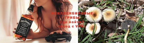 МДПВ Осташков