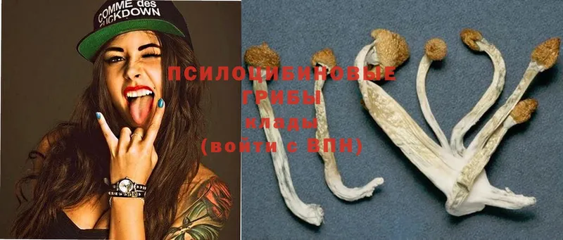 гидра tor где продают Азнакаево Псилоцибиновые грибы GOLDEN TEACHER